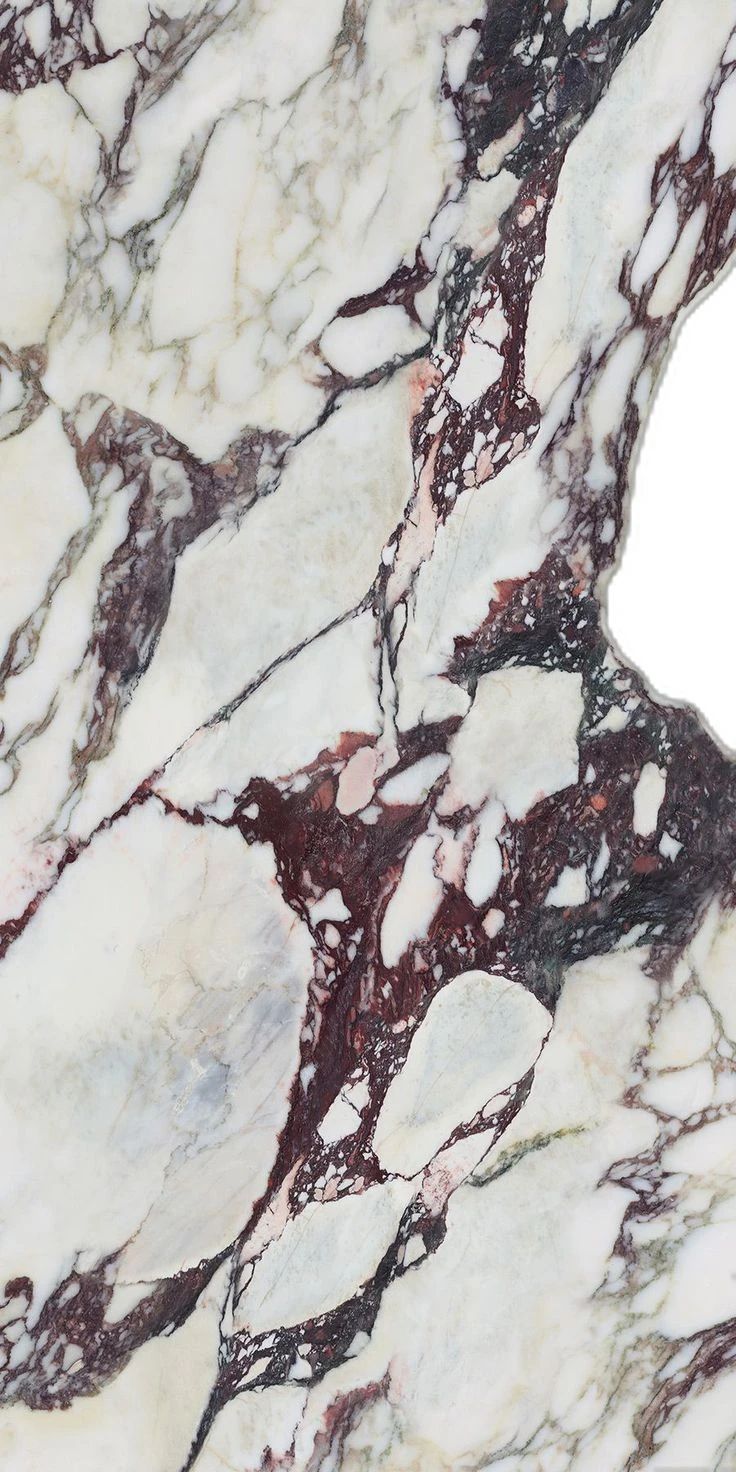 Calacatta Viola — warm white marble with violet and gold veining